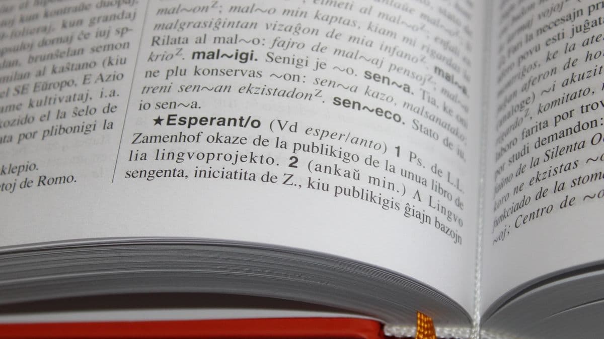An open dictionary, close up